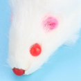 thumbnail image 2 of 12pcs Pet Cat Toy Small Plush Mouse Mini Funny Cat Toy Fake Mouse For Kitten Cat, 2 of 5