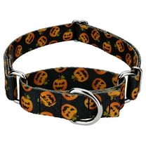 Country Brook Petz® Happy Jack Martingale Dog Collar, Small