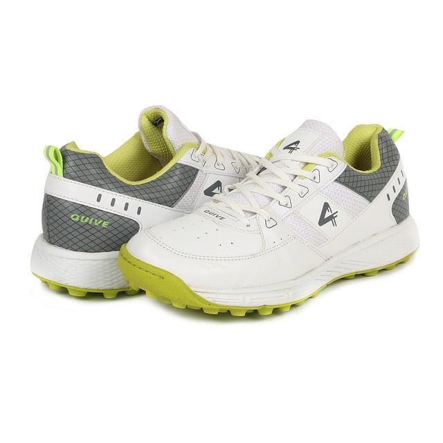 Sega cricket shoes 2025