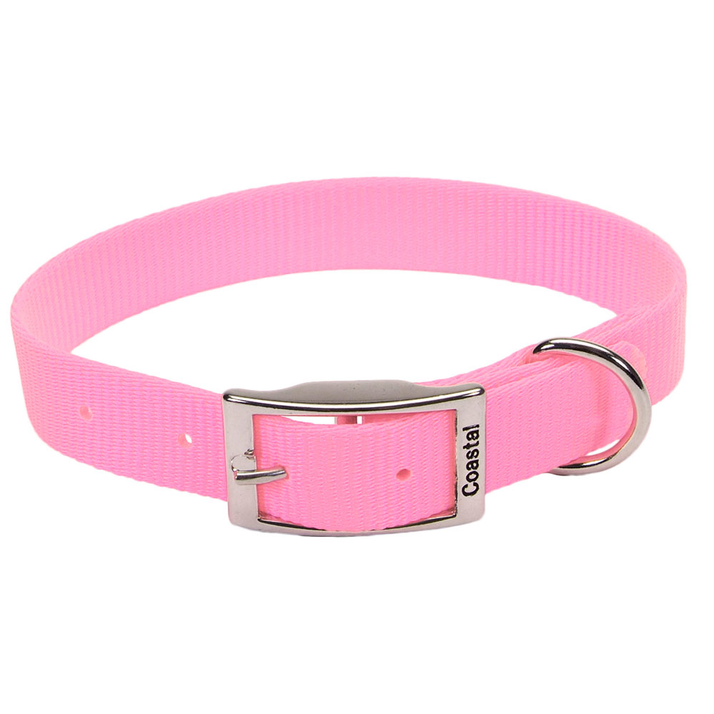 Nylon Collar 1inch by 18inches Bright Pink