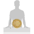 thumbnail image 5 of Placa de servicio de vidrio decorativa grande 13 compatible con el hogar o el comedor fino profesional, compatible con eventos de catering de lujo, cenas o W Afortunado Sencillez, 5 of 5