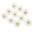thumbnail image 3 of 10 pinzas para el pelo con diseño de margaritas y girasoles para damas y niñas (blancas), 3 of 5