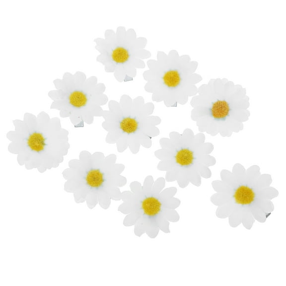 YEAHIBABY 10pcs Daisy Hair Accessories Clip In White Hair Clips for Ladies and Women Daily Life