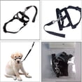 thumbnail image 3 of Halti Head Collar Dog Training Obedience Stop Pulling On Lead No Pull Solutionxl, 3 of 5