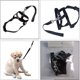 thumbnail image 3 of Halti Head Collar Dog Training Obedience Stop Pulling On Lead No Pull Solutionl, 3 of 5