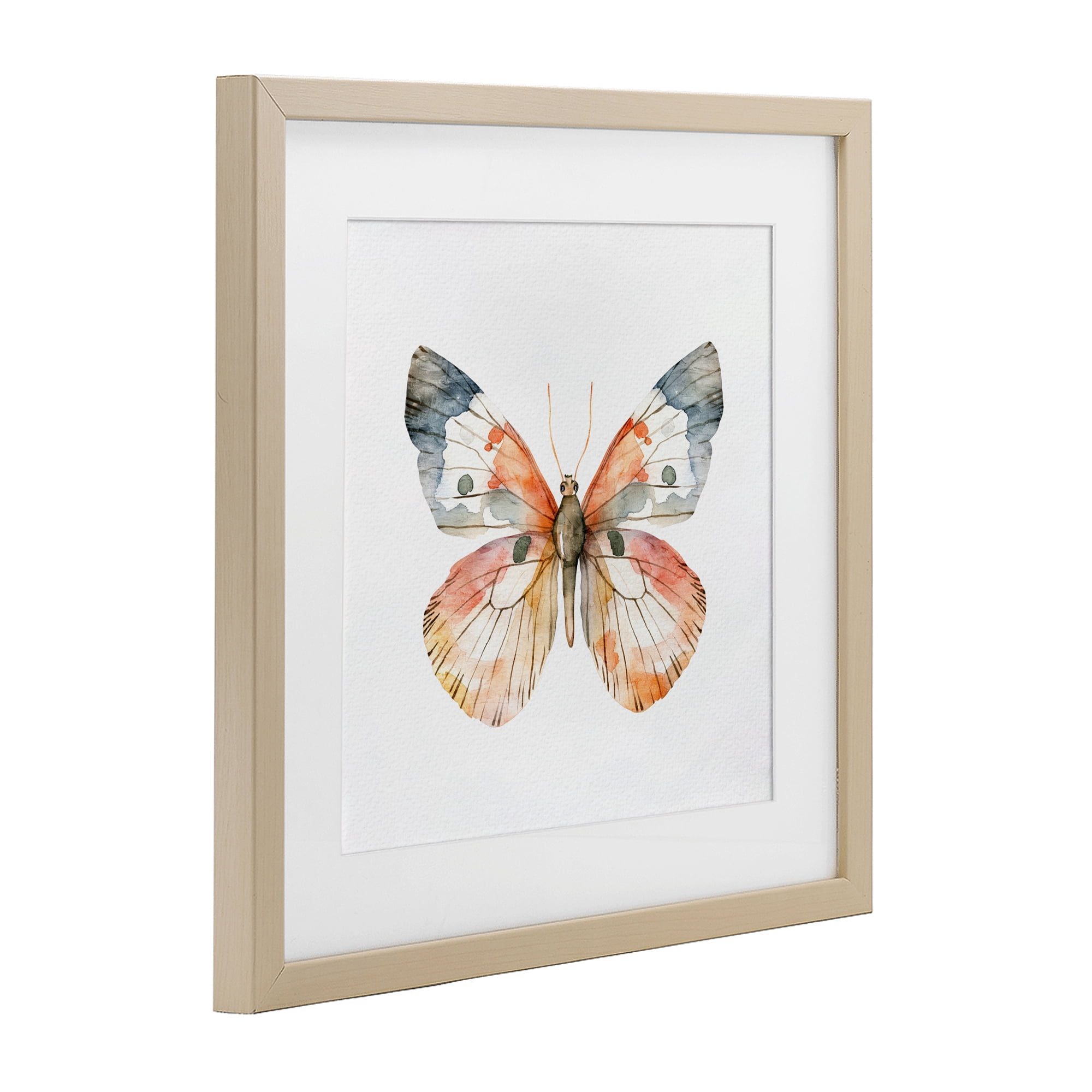 Stupell Industries Warm Watercolor Butterfly Birch Framed Print Under Glass, design by Kim Allen