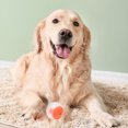 thumbnail image 4 of Dog Teething Ball,Dog Toy Ball Endless Dog Toy Ball Puppy Teether Toy Highly Recommended, 4 of 12