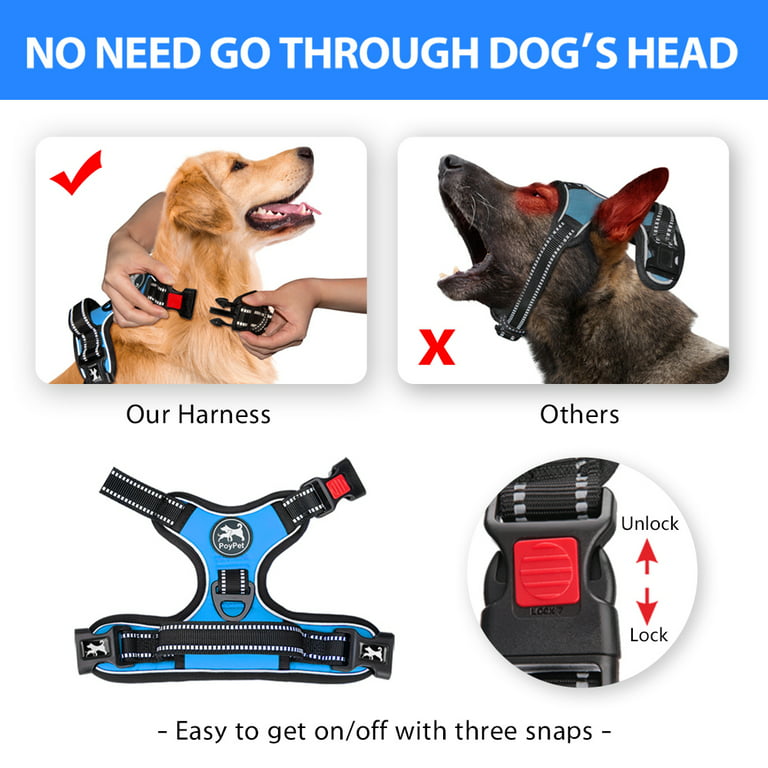 Small/medium pet harness