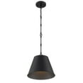 thumbnail image 4 of Elegant Pendant Light in Solid Matte Black, 4 of 4