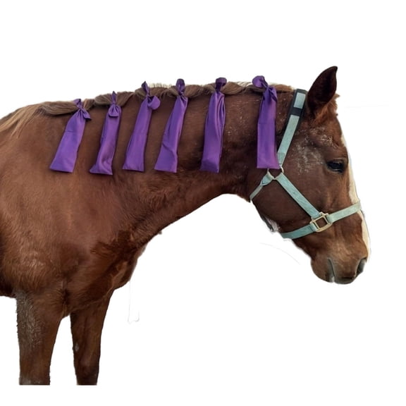 Waterproof Mane Bags Horse Mane Guard Protectors Holder Cover Bags for Equine Horse Pony Protect Mane from Dirt Breakage Rubbing Set of 8 Purple;