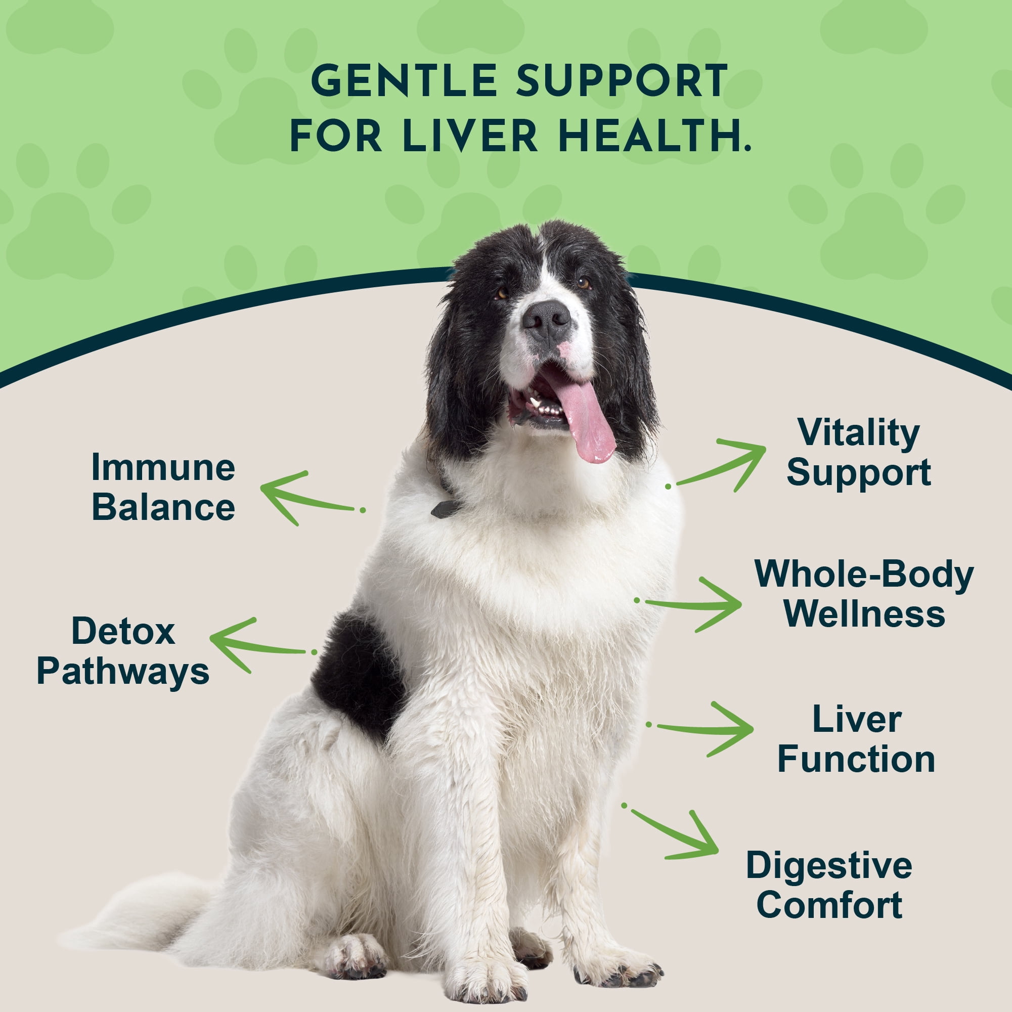 Animal Essentials Liver Defense Growth Dog & Cat Supplement, 2 Oz
