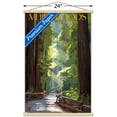 thumbnail image 3 of Lantern Press - Muir Woods National Monument, California, Pathway Wall Poster with Magnetic Frame, 22.375" x 34", 3 of 5