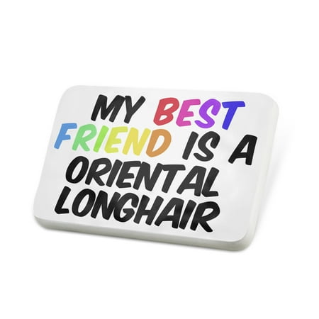 Porcelein Pin My best Friend a Oriental Longhair Cat Lapel Badge – (Best Hide My Ip)