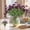 Purple-PP-clearacne, variant on WWG 14.2in Artificial Flower Bouquet Plastic Silk Flowers for Home Garden Outdoor Wedding Holiday Decoration Red Yellow Blue