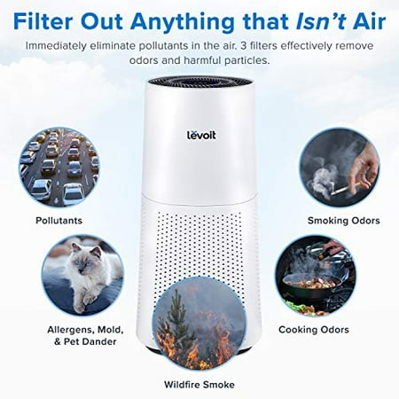 eliminators pollen h13 hepa allergies levoit odor mold