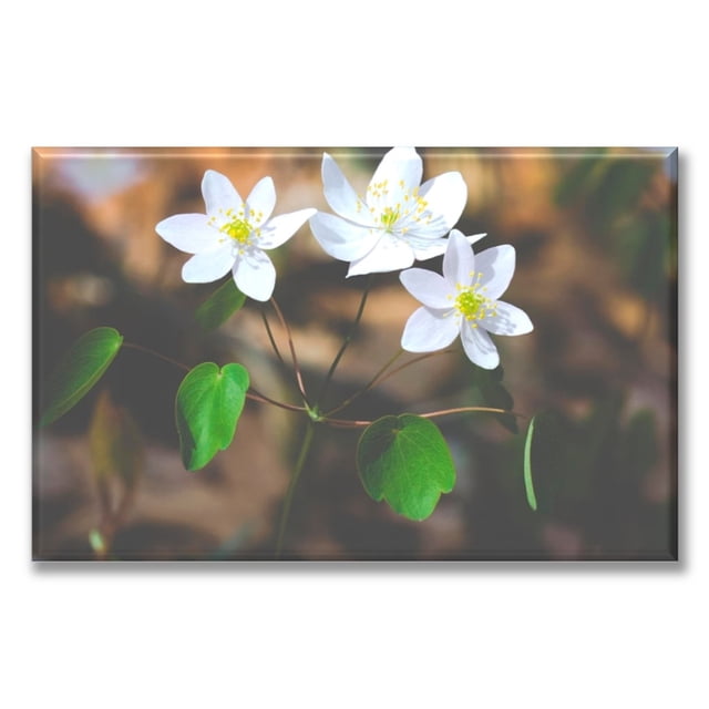 Cuadro Canva Pixtreats listo para Colgar tipo Galería Flores Blanca 50X75 cm