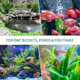 thumbnail image 4 of BR-Life Aquarium 10cm Pan Air Stone Bubble Difusor Herramienta de liberación para bombas de aire Tanques de peces Cubos Estanques y tanques DWC esquí esquí Gafas de esquí, 4 of 5