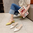 thumbnail image 4 of 2022 nuevas zapatillas de punta puntiaguda para mujer, zapatillas modernas, zapatos de oficina con tacón cuadrado para dama, 4 of 4