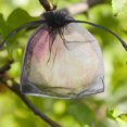 thumbnail image 6 of SPRING Insect Protection 100Pcs Organza Bags For Safe And Healthy Fruit Growth, 6 of 9