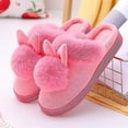 thumbnail image 1 of Women Warm Slippers, Velvet Snow Slipper Jd4, 1 of 4