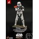 thumbnail image 3 of Figura Hot Toys 1/6 de Escala Star Wars The Mandalorian: Stormtrooper Commander Hot Toys SIXTH SCALE FIGURE, 3 of 5