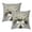 A35 B A, variant on 2Pcs Spring Lily Of The Valley Pillow Covers Set Of 2, Soft Green Floral Throw Pillows Case, Outdoor Decorative Square Cottage Decor Cushion Covers For Home Sofa Bed Couch