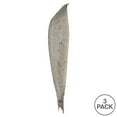 thumbnail image 5 of Vickerman 24-30" White Wash Palm Paddle. Includes 3 Paddle per Pack, Dried, 5 of 5