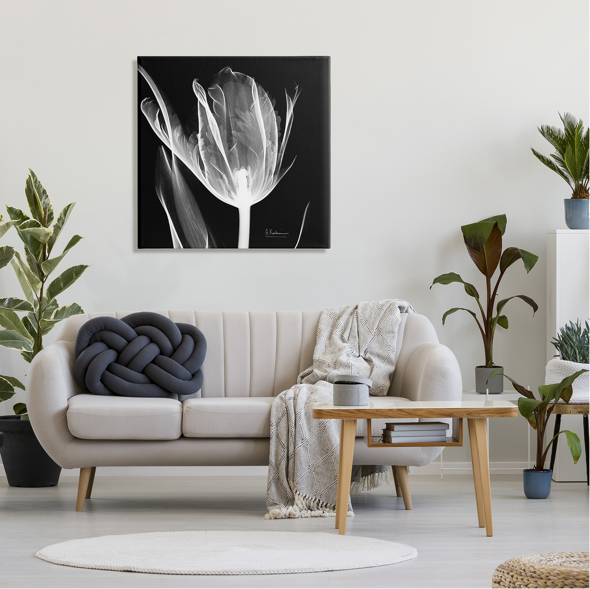 Stupell Industries Flower X-Ray on Black Botanical & Floral Photography Gallery Wrapped Canvas Print Wall Art, 30 x 30