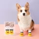 thumbnail image 2 of Mascotas Calcetines antideslizantes Bottom Puppy Dog Socks Cubierta del pie del perro Teddy Dog Poodle Calcetines Suministros, 2 of 4