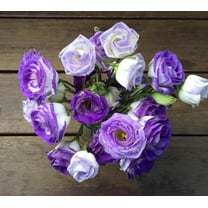 20 Purple and White Lisianthus Flower Seeds for Planting -Pelleted Seed