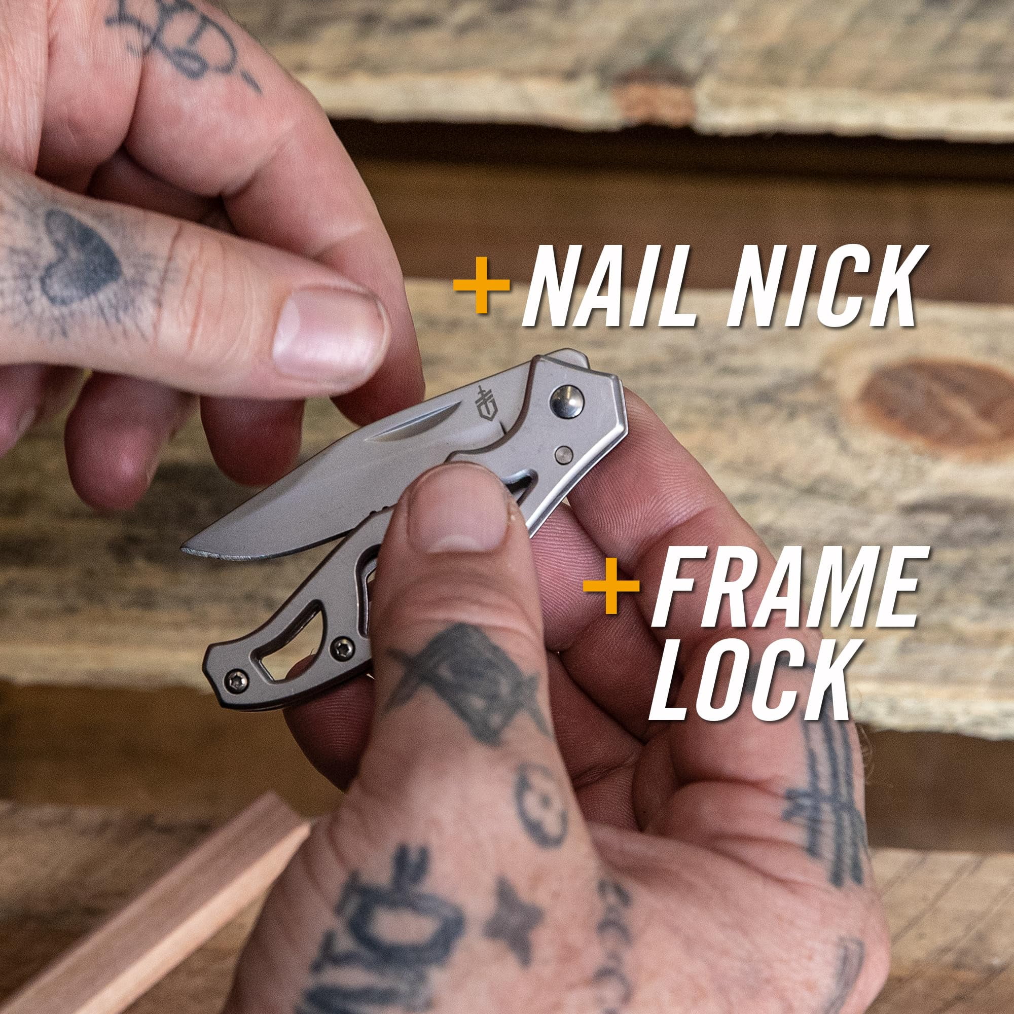 Gerber Paraframe Mini