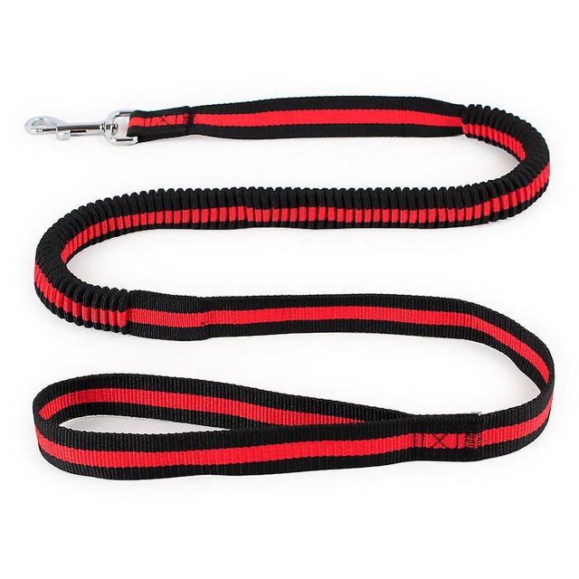 Correa Para Perro Grande Reflectante Y Resistente Marca Perro-2.5*120cm-con Cuerda Telescópica
