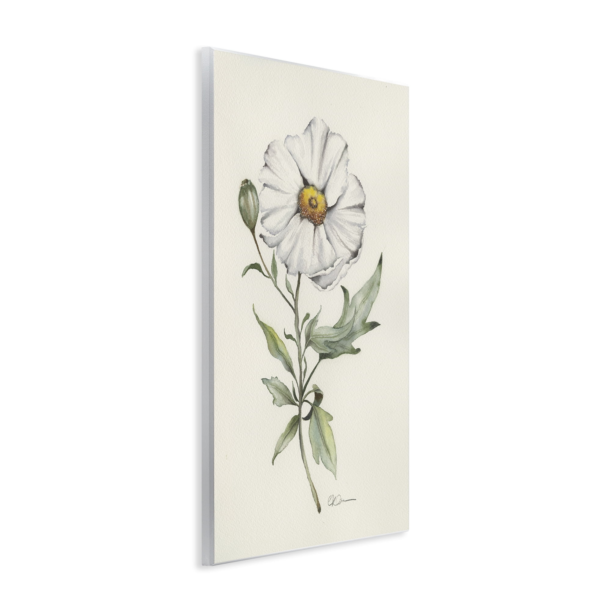Stupell Industries Natural Wild Blossom Sprig Wall Plaque Art, design by Cady Driver