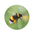 thumbnail image 2 of KDAGR 60 inch Round Beach Towel Blanket Flying Bumblebee Species Bombus Terrestris Common Name Buff Travel Circle Circular Towels Mat Tapestry Beach Throw, 2 of 2