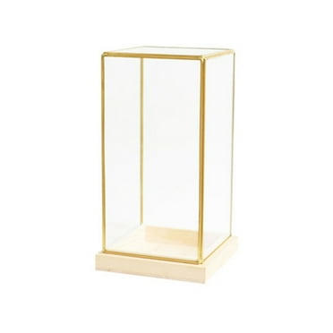 Display Case for Collectibles Showcases Decors for Bookshelfs Cabinet Display