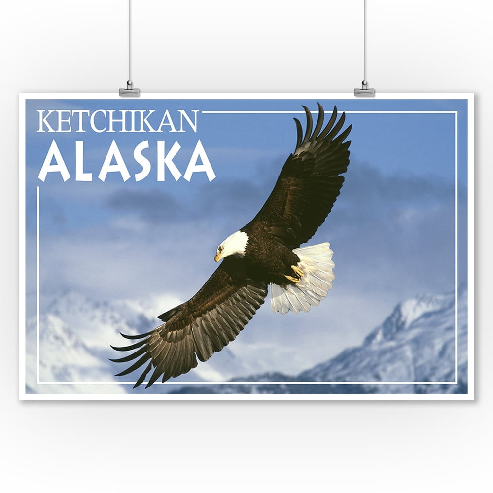 Eagle Soaring Ketchikan, Alaska Lantern Press Photography (James T