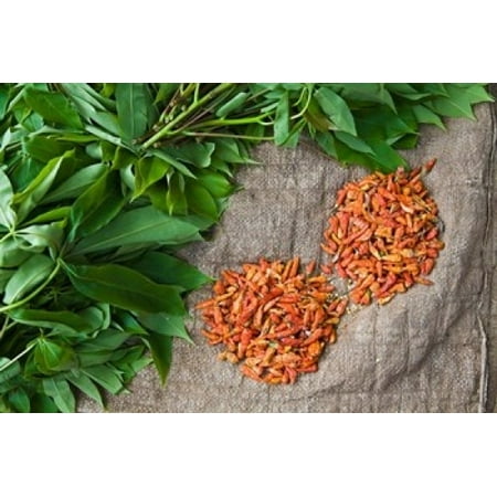 Benin Chili peppers and greens produce market Canvas Art - Aldo Pavan DanitaDelimont (24 x 15)