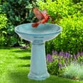 thumbnail image 6 of Sunnydaze Calais Freestanding Ceramic Pedestal Bird Bath, 6 of 12
