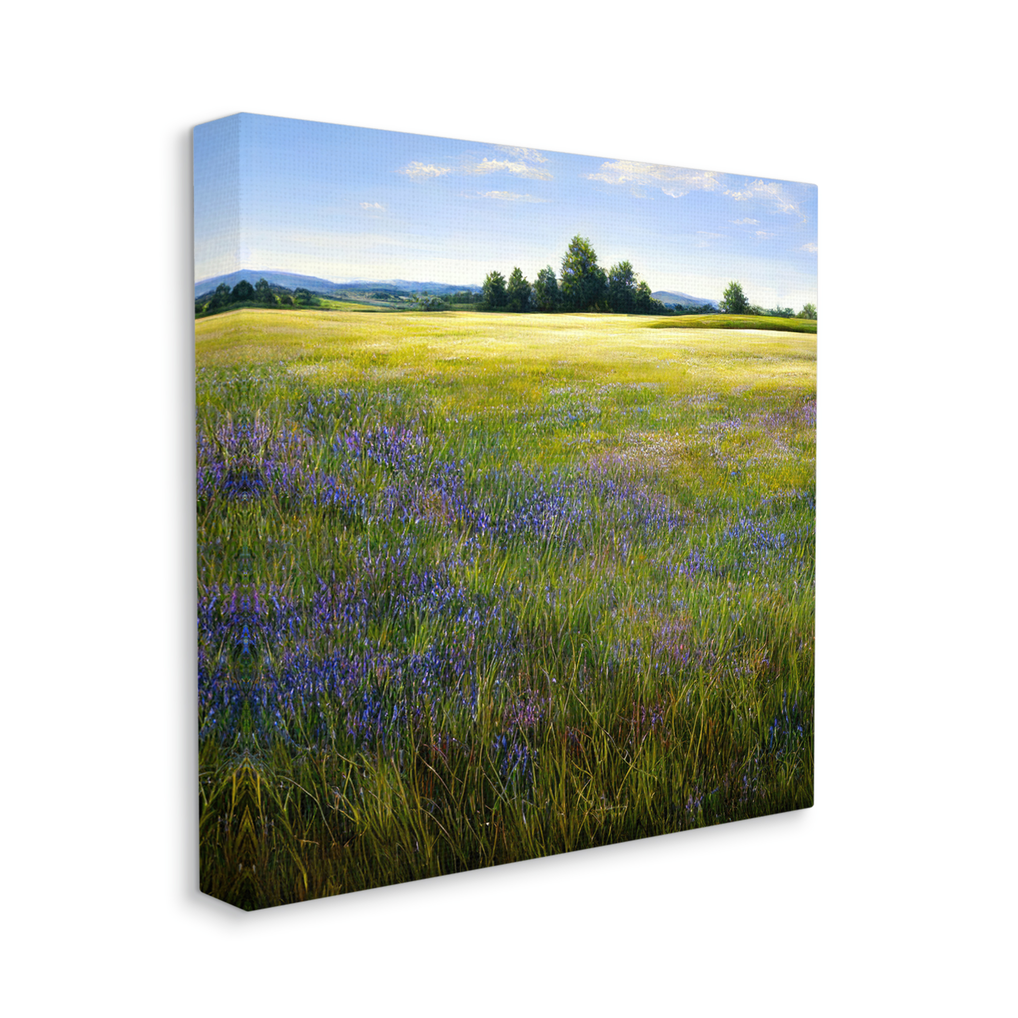 Stupell Industries Vast Meadow Landscape Landscape Painting Gallery Wrapped Canvas Art Print Wall Art, 30 x 30