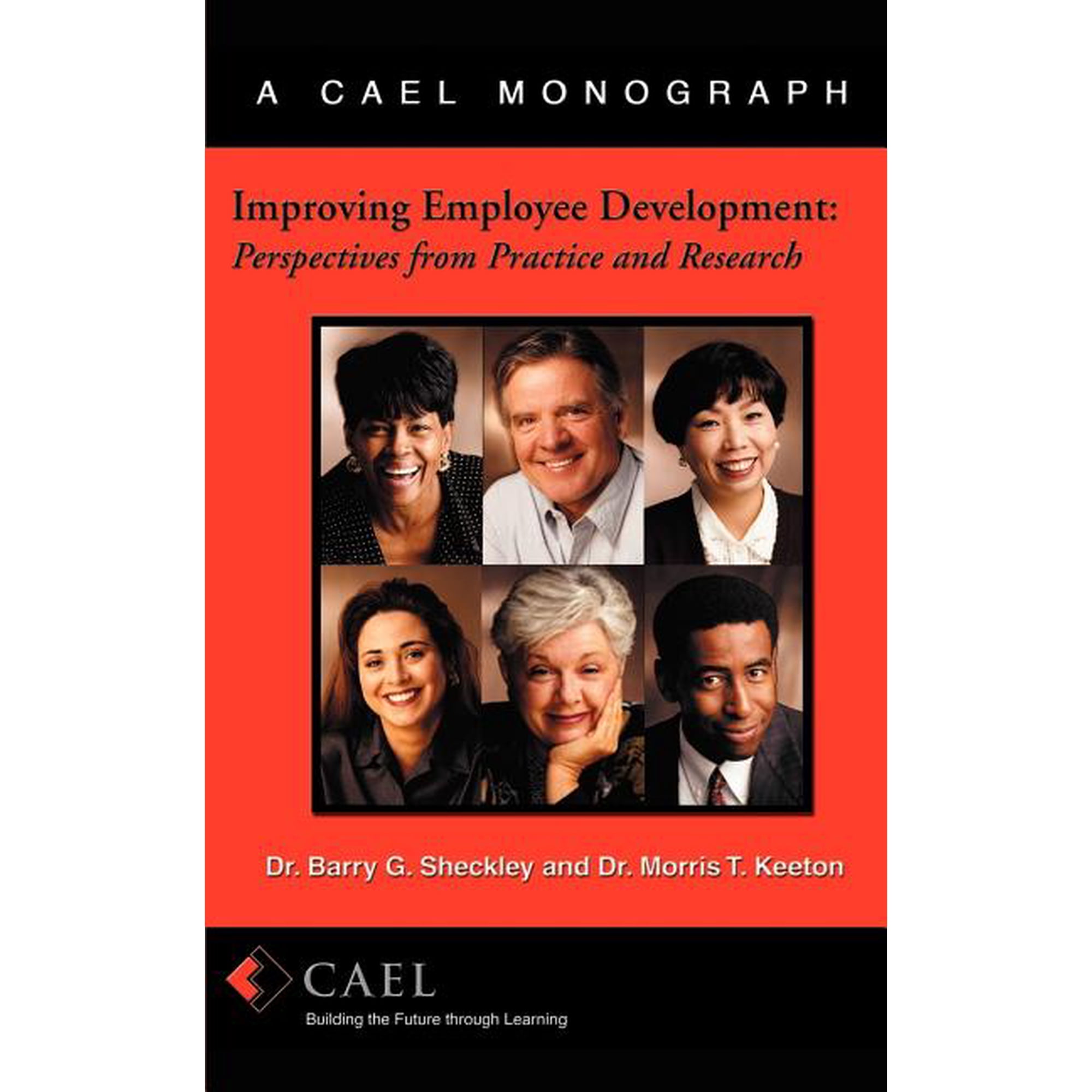 Improving Employee Development: Perspectives from Research and Practice (Paperback)