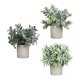 thumbnail image 2 of 3 Piezas de Plantas Falsas BLESIY Decorativas en Macetas Pequeñas, 2 of 8