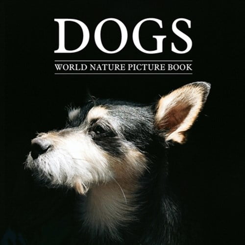 Pre-Owned DOGS World Nature Picture Book: Gift Picture Book for Dog Lover, Alzheimer's Patients and Seniors with Dementia, (Paperback)