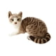 thumbnail image 3 of Juguete de peluche para gato, muñeco suave, gatito, adorno para el hogar, simulación de gatito para adolescentes 40cm Gato Gris, 3 of 9