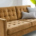 thumbnail image 5 of Tufted Sofa, Velvet, Brown, Modern Contemporary Urban Design, Living Lounge Room Hotel Lobby Hospitality, 5 of 9