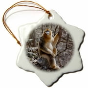 3dRose China, Qinling Mountains, Male Golden Monkey - AS07 AGA0024 - Alice Garland - Snowflake Ornament, 3-inch