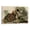 Frame-style, variant on American Bird Artists John James Audubon Ruffed Grouse Poster Wall Art Poster Scroll Canvas Painting Picture Living Room Decor Home 12x18inch(30x45cm)