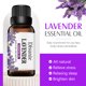 thumbnail image 5 of Teissuly Essential Oils -100% Natural Essential Oils - Perfect for Diffuser, Humidifier,Aromatherapy, Massage,Skin & Hair Care, DIY Candle and Soap Making 30ml Teissuly WER202401221218, 5 of 7