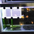 thumbnail image 6 of Plastic Aquarium Isolation Box with Suction Cup Design for Fish Cultivation, Isolation, and Breeding, 6 of 9