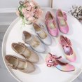 thumbnail image 5 of SGMVNU Girls Glittler Sandals Low Heel Elegant Mary Jane Dress Sandal Wedding Party Flower Girl Dress Shoes for Little/Big Kids Silver Size 4-4.5 Years, 5 of 5