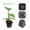 thumbnail image 3 of LABLT 100 Qty 4" Square Durable Lightweight Flexible Nursery Gage Dura Pots Plants, 3 of 6